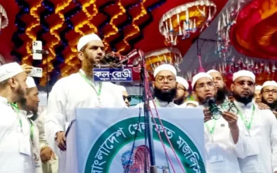 ইসলামের দুশমনদের রাজনীতি করার অধিকার নেই: মামুনুল হক